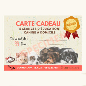Carte cadeau 5 séances d'éducation canine